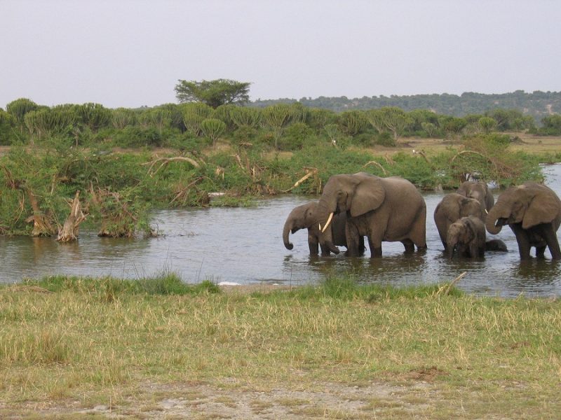 Lambula Uganda, a Platform Promoting Local Tourism Based Businesses Launched Lambula Uganda, a Platform Promoting Local Tourism Based Businesses Launched