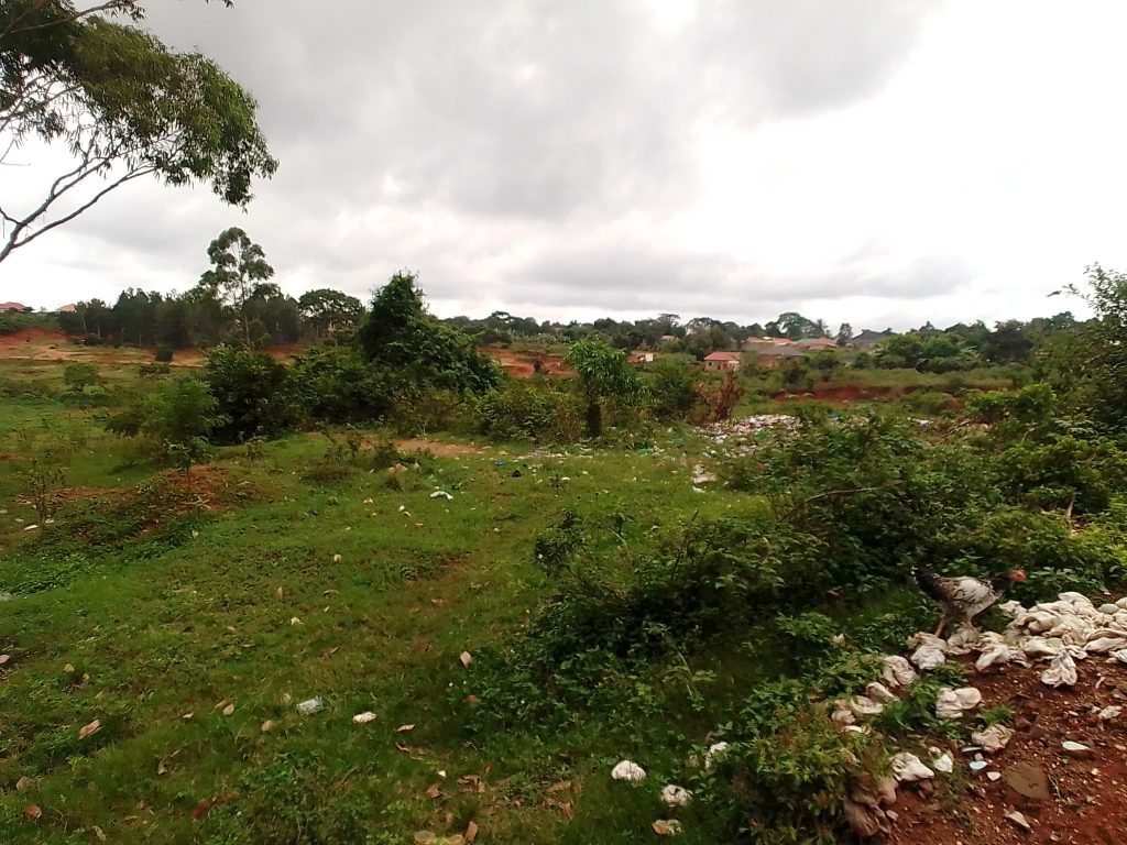 ENTEBBE:NFA Orders Licenced Tree Planters To Vacate Kitubulu-Kyewaga Central Forest Reserve