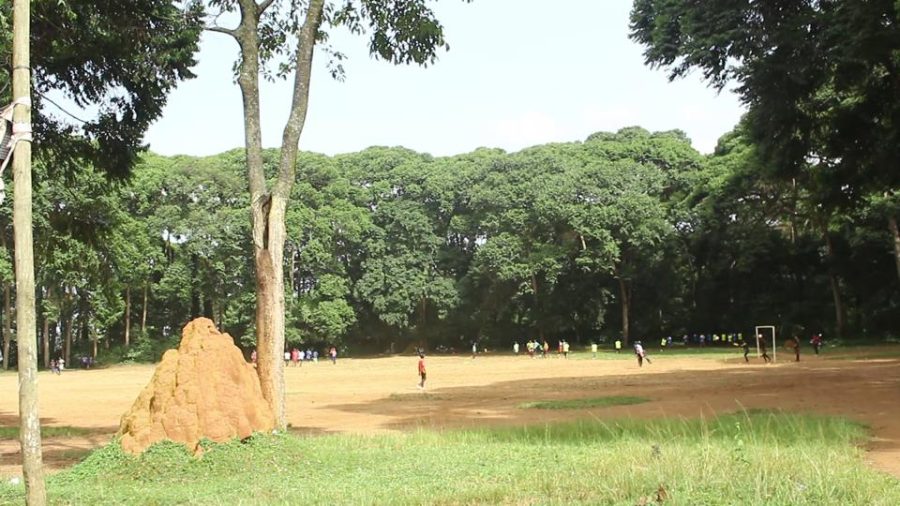 Suspected ghost firm moves to claim Entebbe’s Kitubulu forest reserve Suspected ghost firm moves to claim Entebbe’s Kitubulu forest reserve